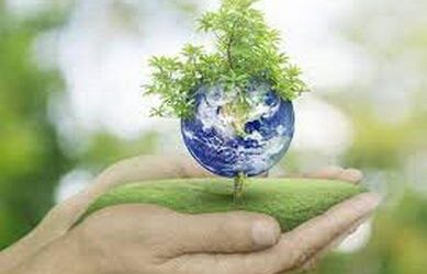 WORLD ENVIRONMENT DAY