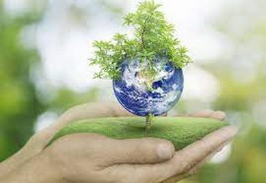 WORLD ENVIRONMENT DAY