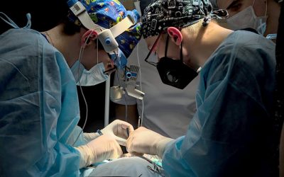 SCHOOL OF SURGERY: FROM MENTOR TO SUCCESSOR PROJECT